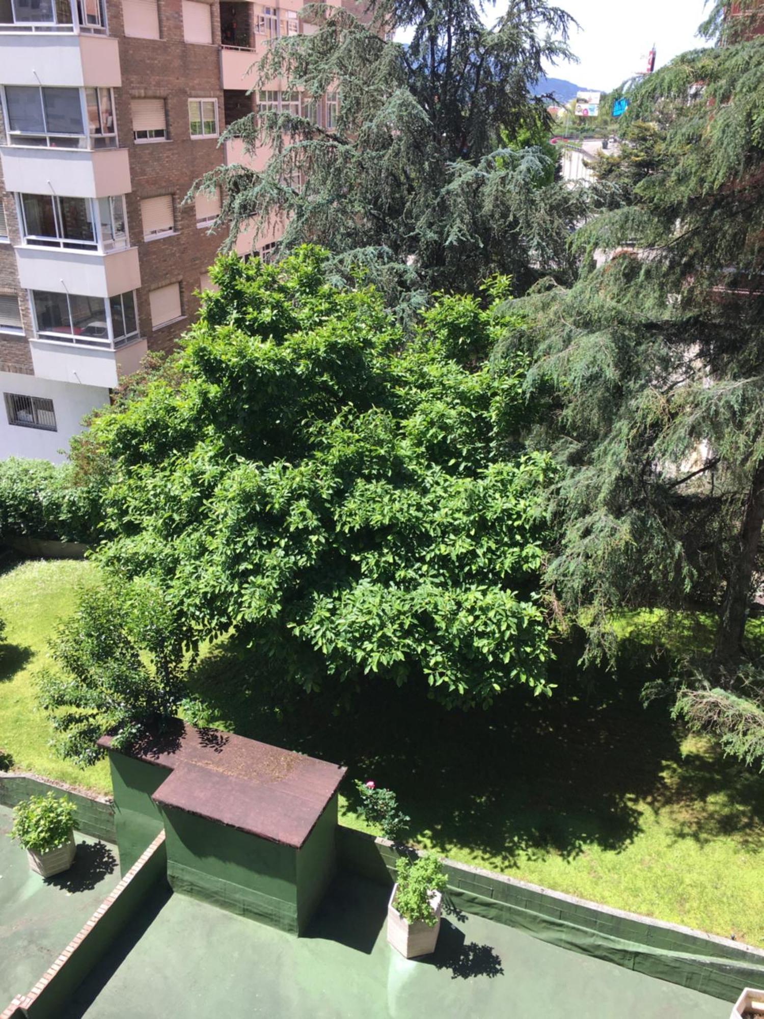 Apartmán Gaivota Amplio Y Luminoso Con Plaza De Garaje Vigo Exteriér fotografie